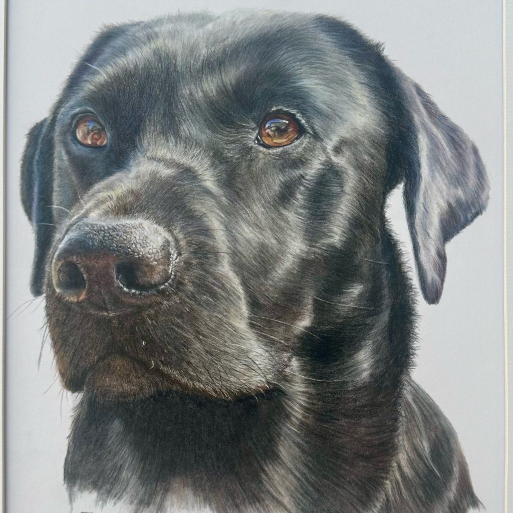 LABRADOR PORTRAIT sq - Cornish Gifts